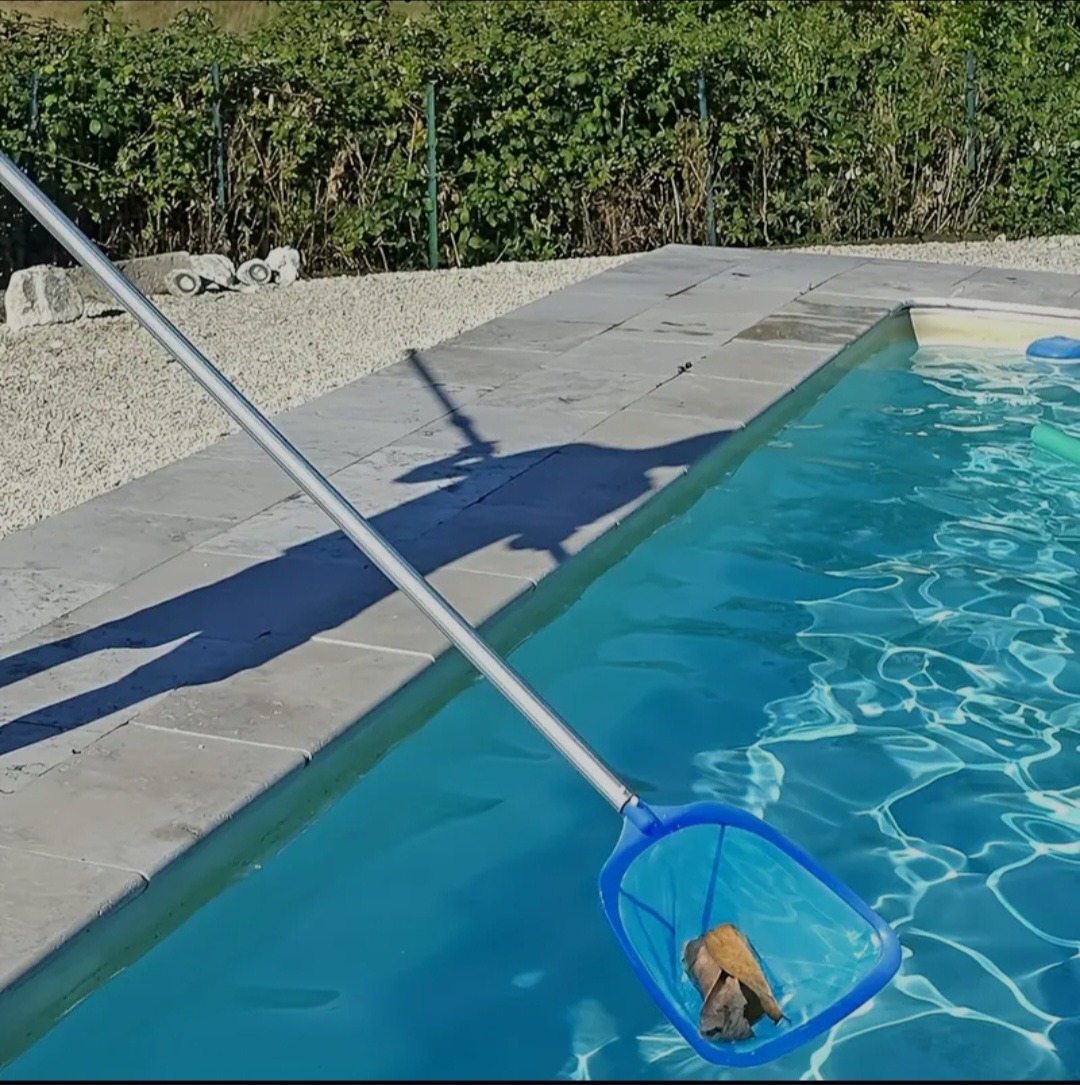 screenshot 20250519 210835 chrome[1]